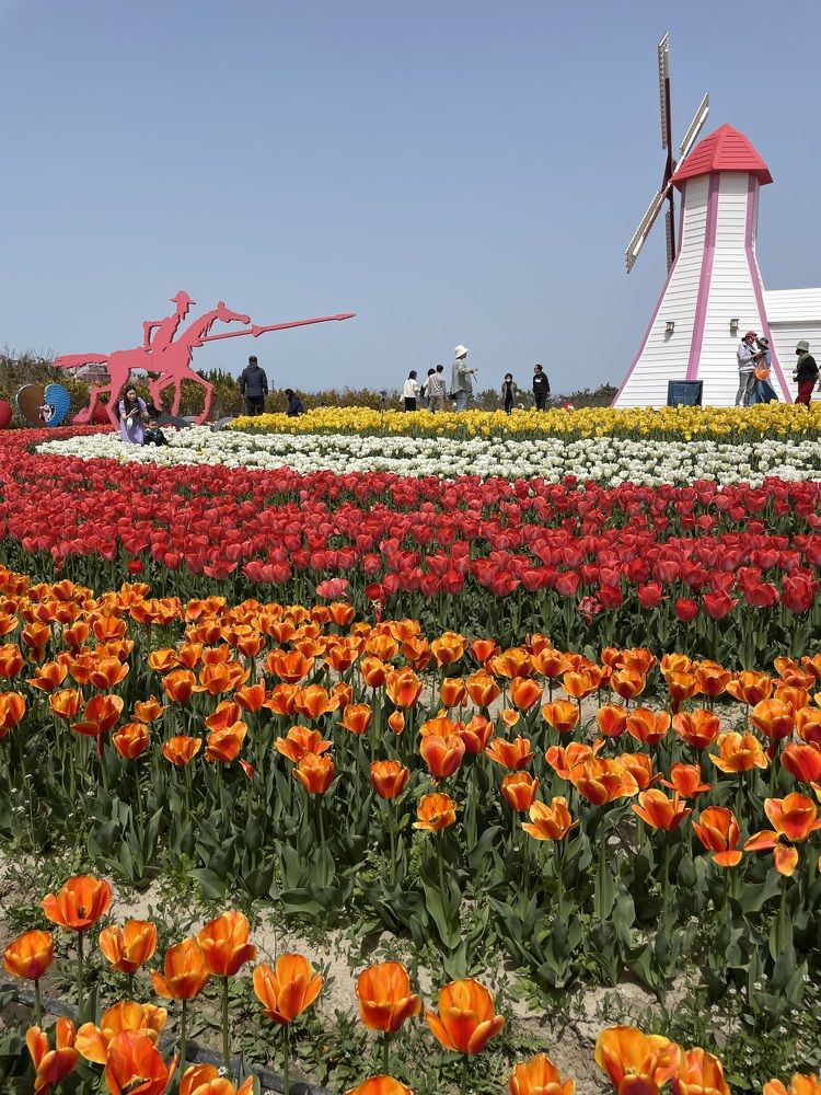 Photograph by Gorobets Olga