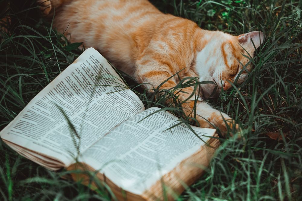 Фотография автора Вазген Бояджян