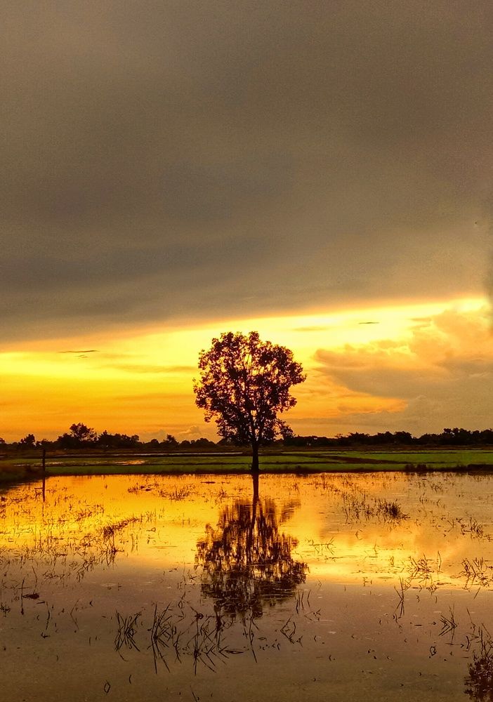 Photograph by Pheap Sophinh