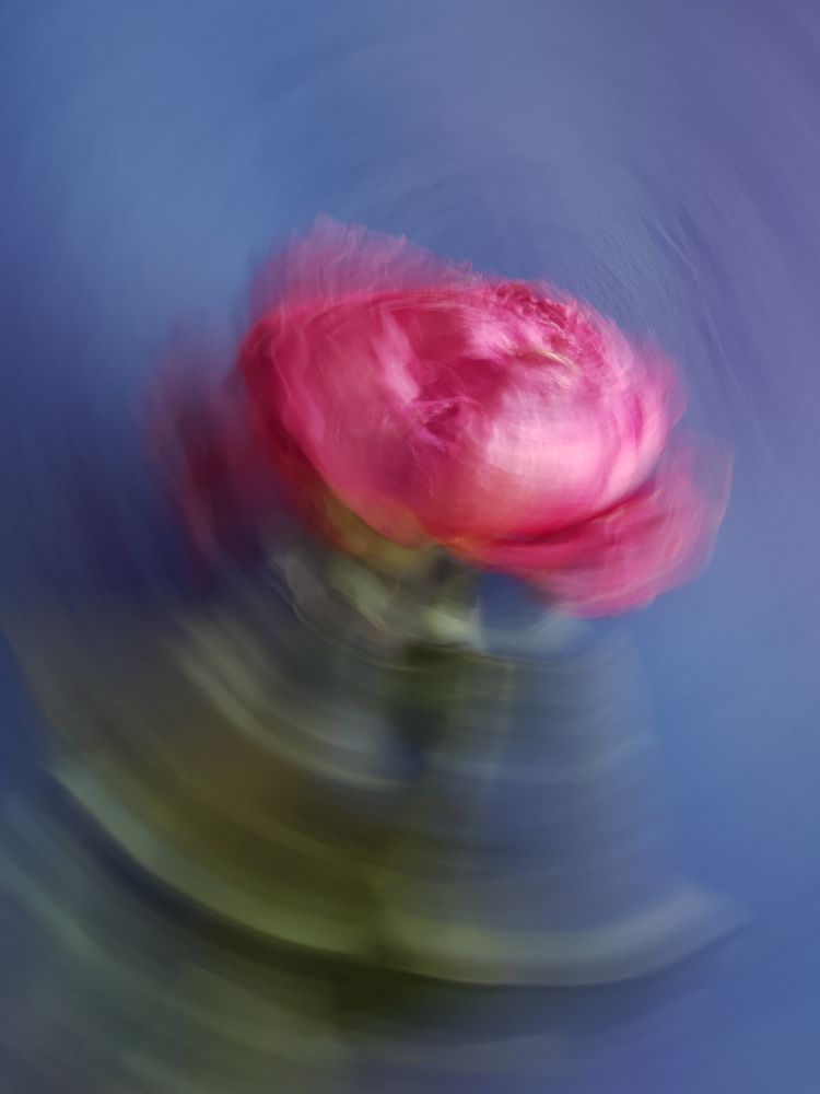 Фотография автора Ольга Шишук