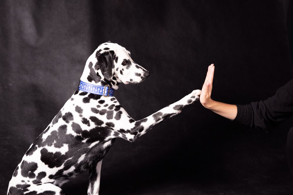 Photograph by Anna Spiridonova