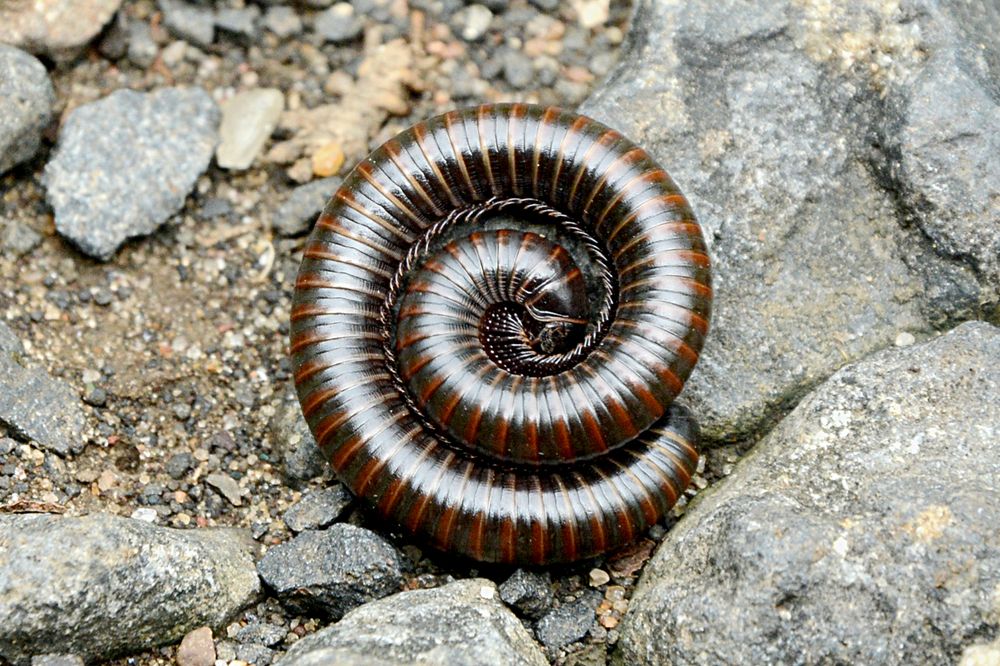 Photograph by DILIP BHALERAO