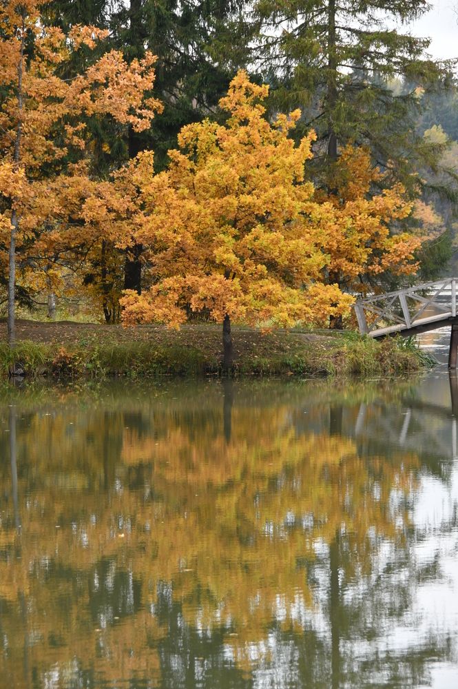 Photograph by Андрей Жуков