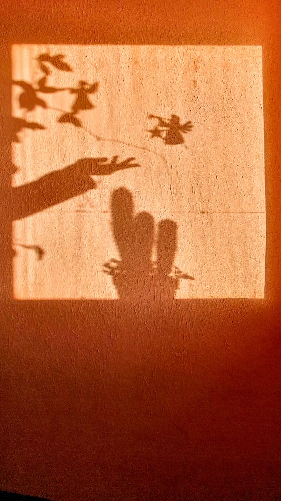 Фотография автора Ольга Шишук