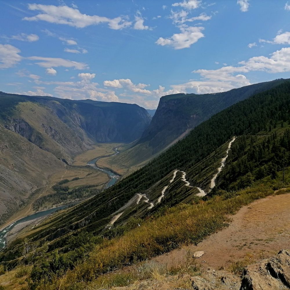 Photo #9454693