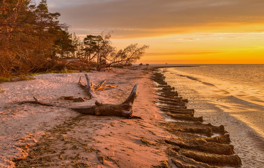 Photograph by Albina Kulikova