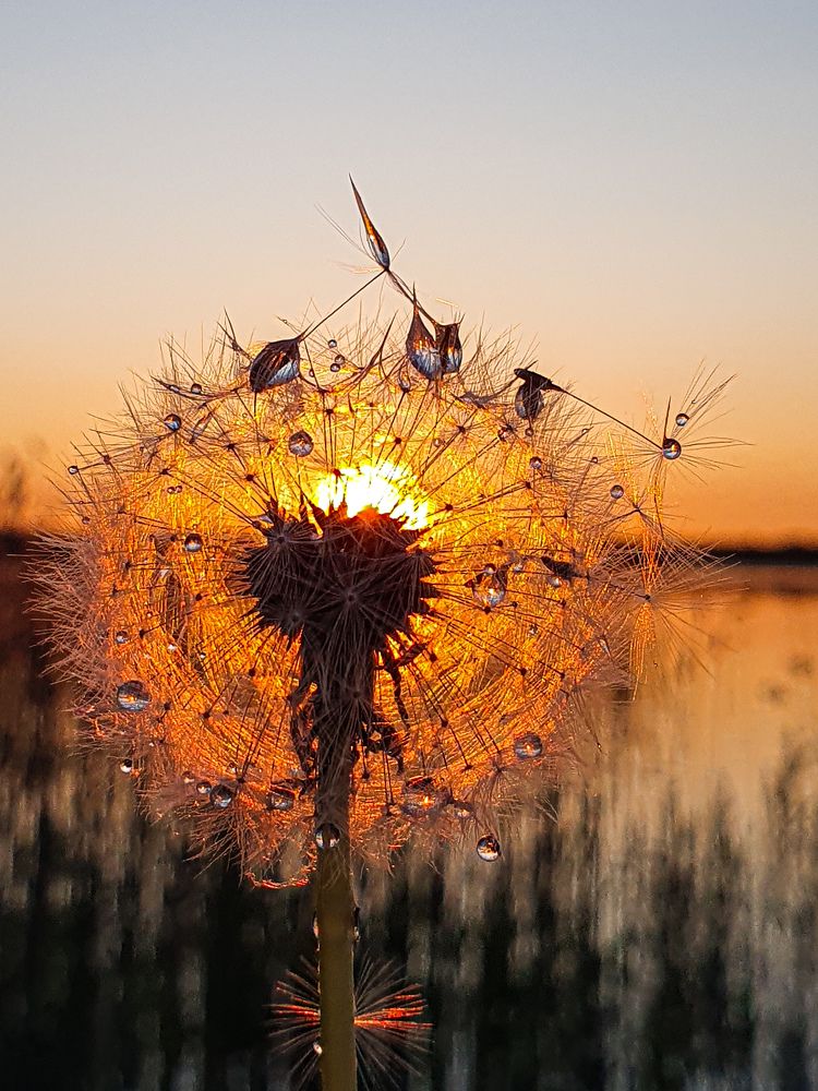 Фотография автора Ольга Шишук