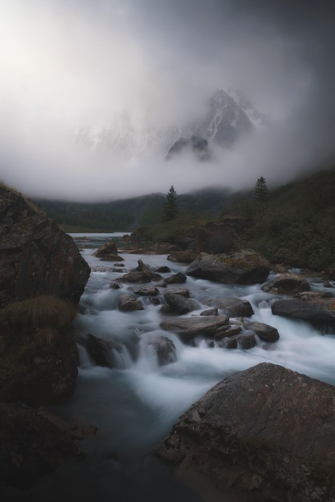 Туманная Шавла