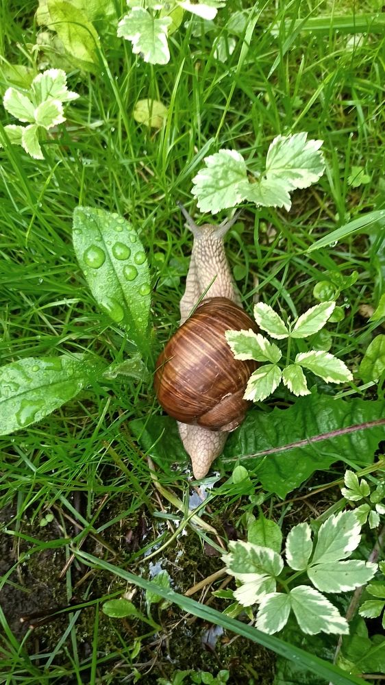 Photograph by Анна Липилина