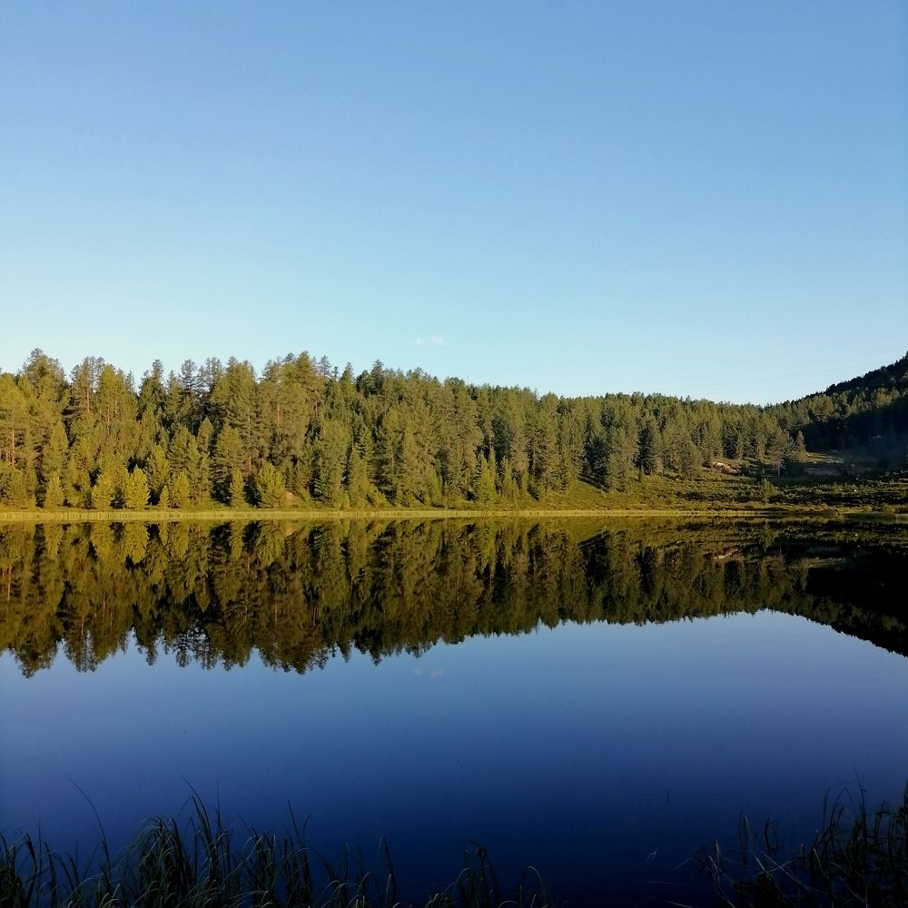 Photo #9454901