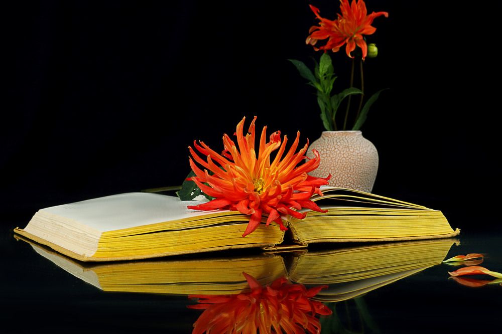 Photograph by Мария Самолевич