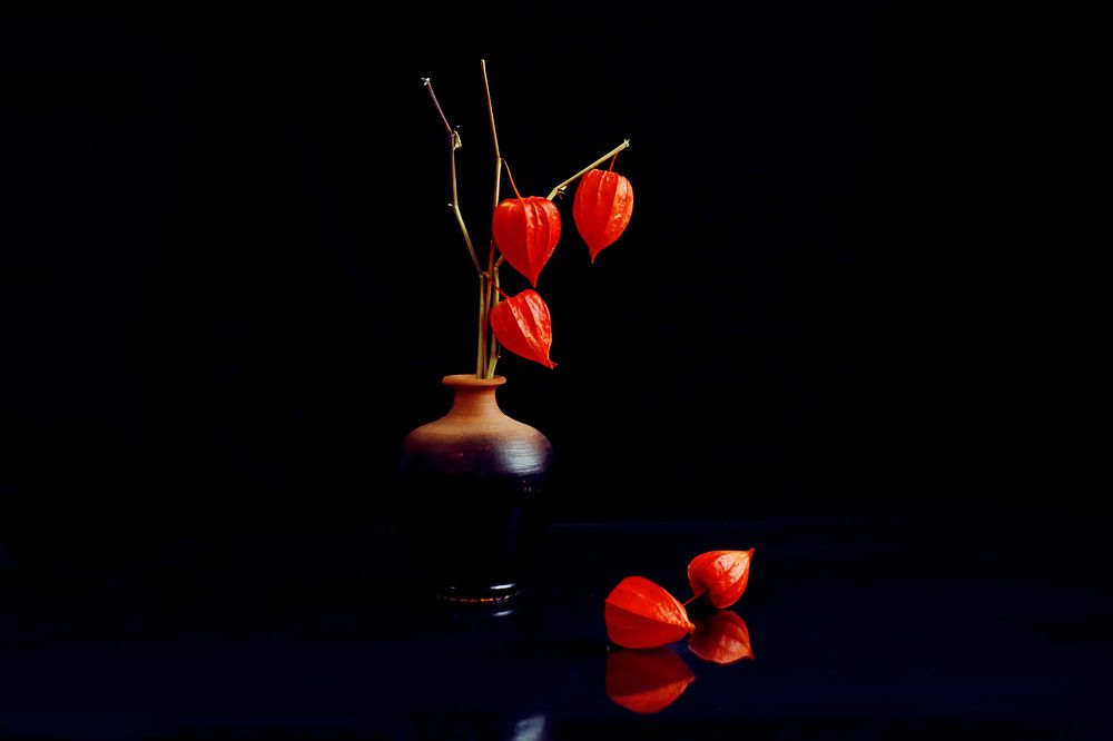 Photograph by Мария Самолевич