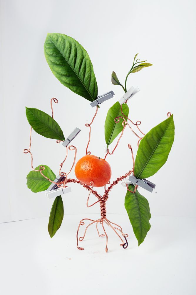 Photograph by Ангела Честнова