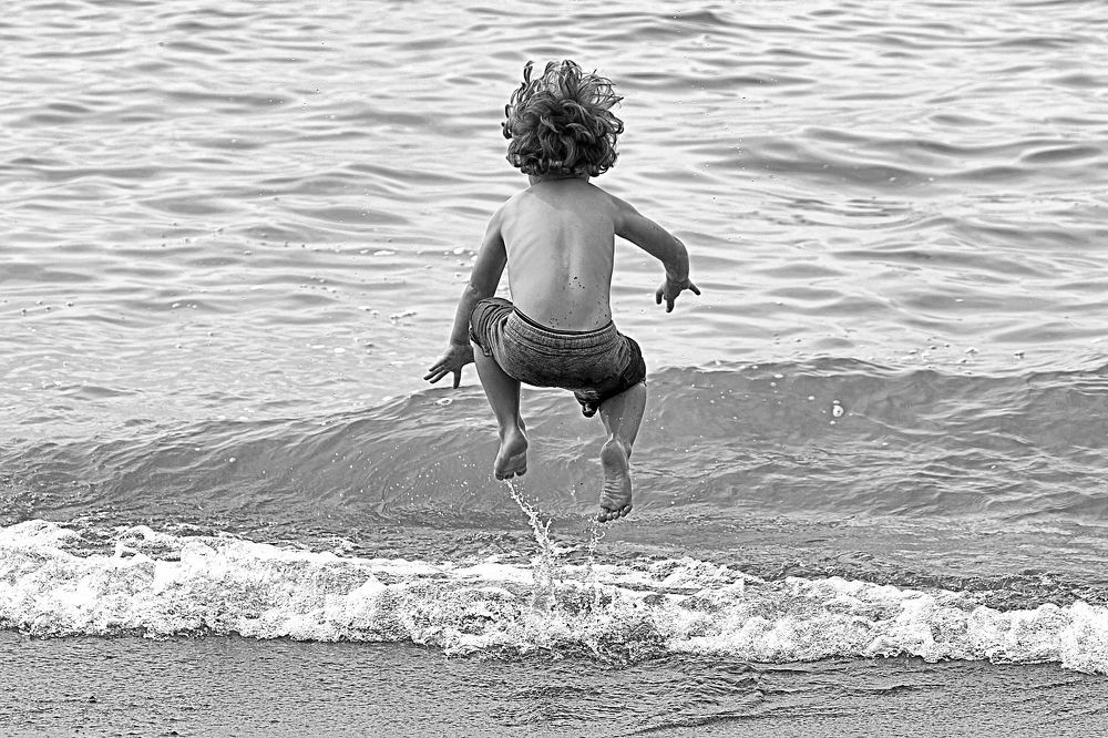 Photograph by A. G. Bisschop