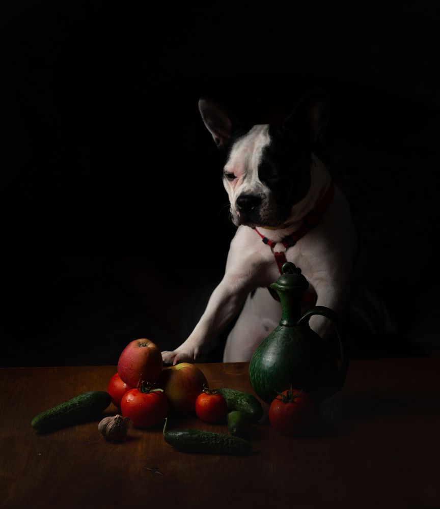 Photograph by Александр Шемятенков