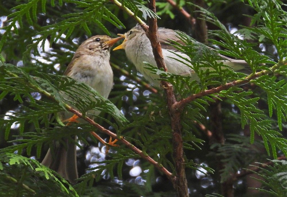 Photograph by Владимир Джерихов