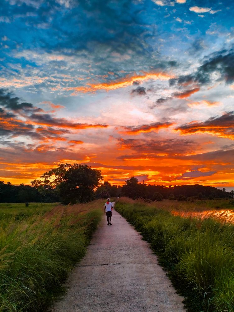 Sunset view