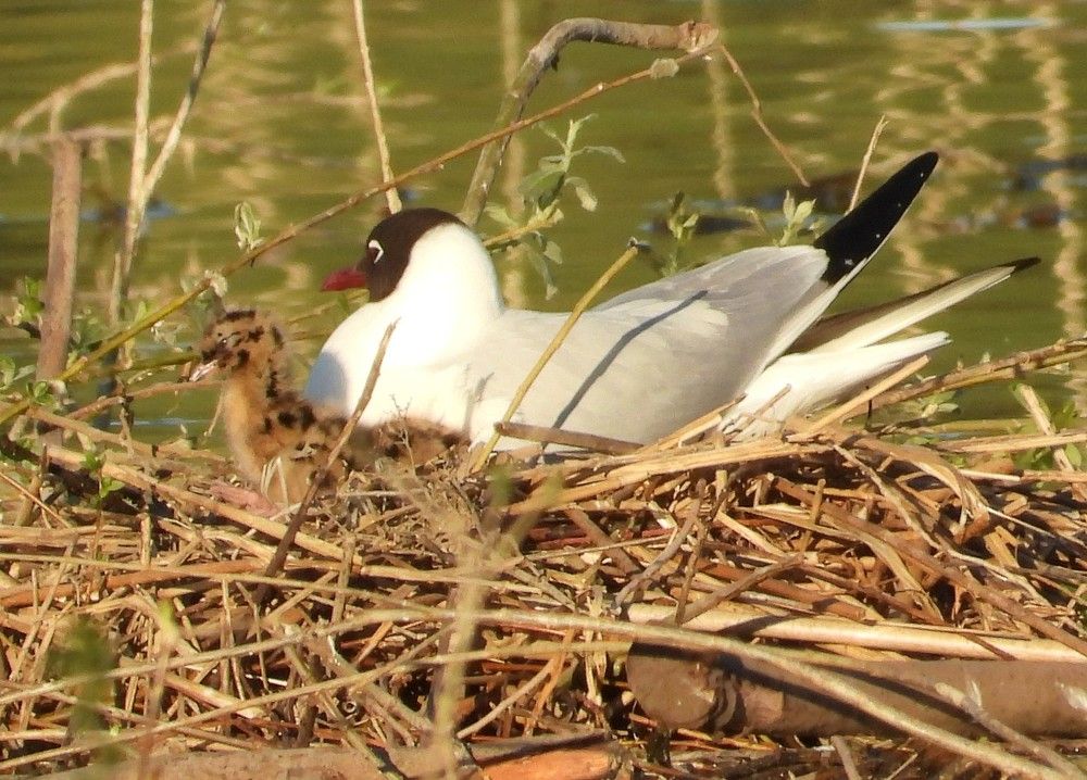 Photograph by Владимир Джерихов