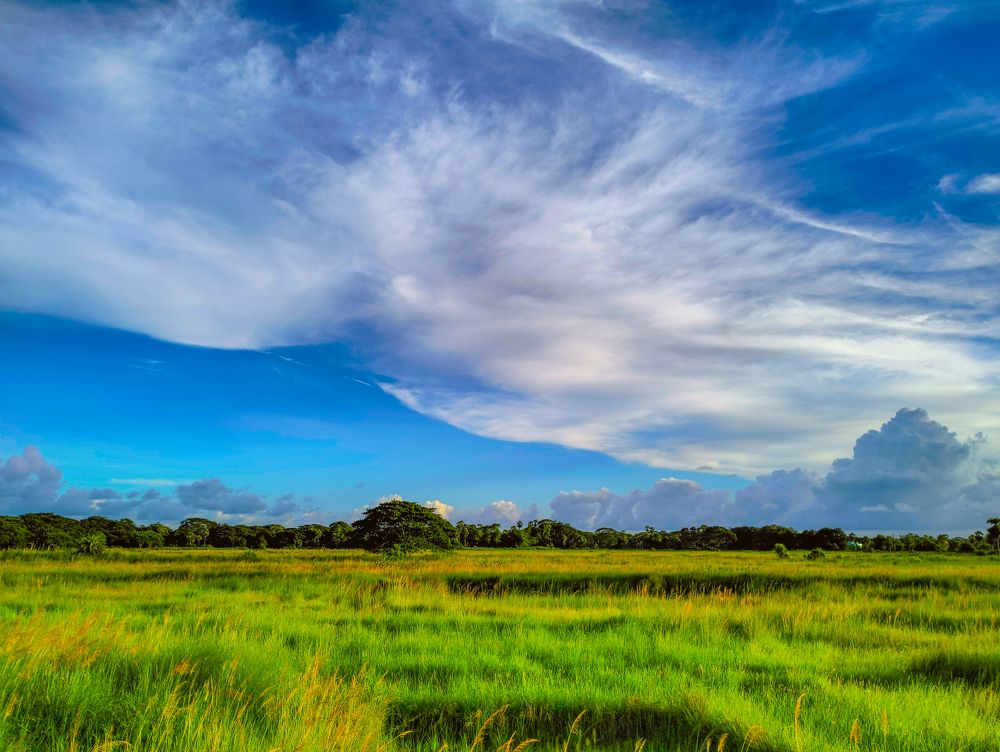 Photograph by Satyajit Padhi
