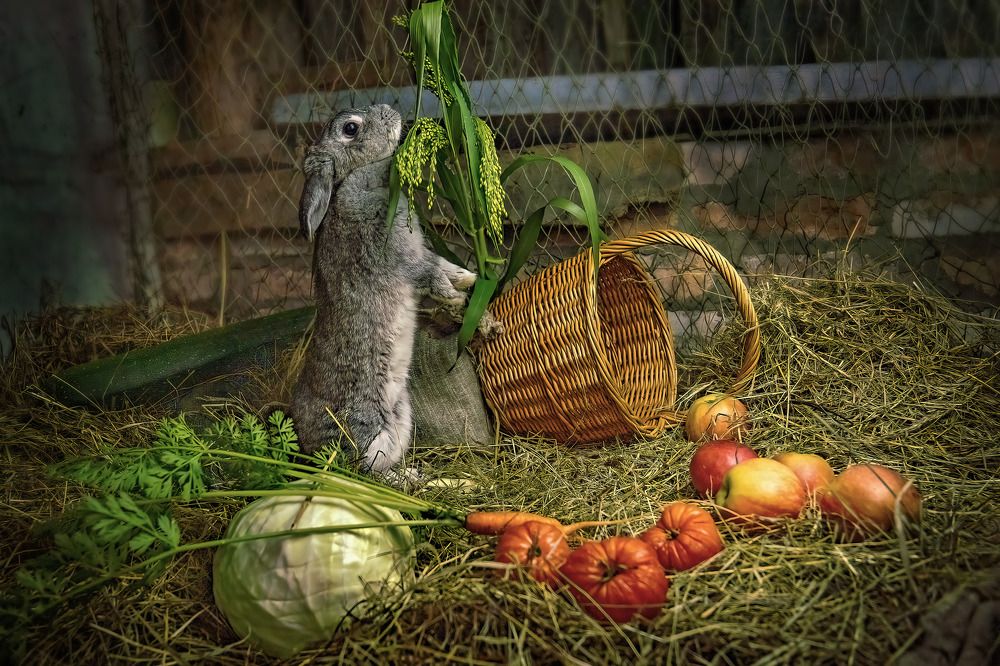 Photograph by Марина Виноградова