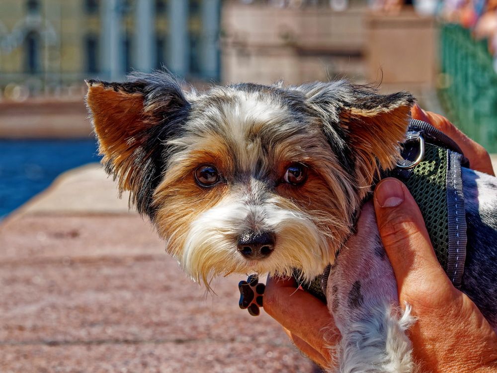 Photograph by Андрей Панин