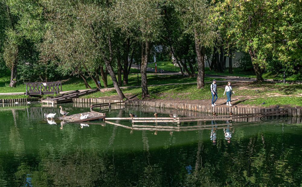 Photograph by Vladimir  Komarov