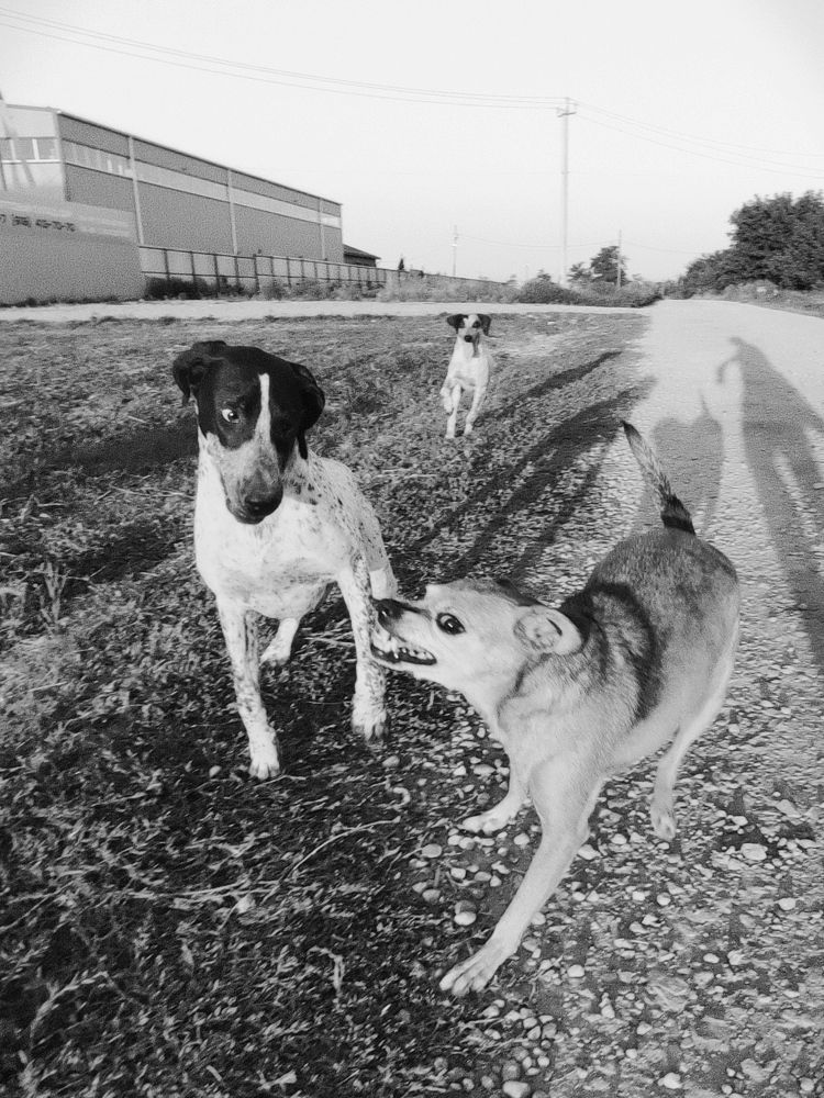 Фотография автора Таня Долгушева