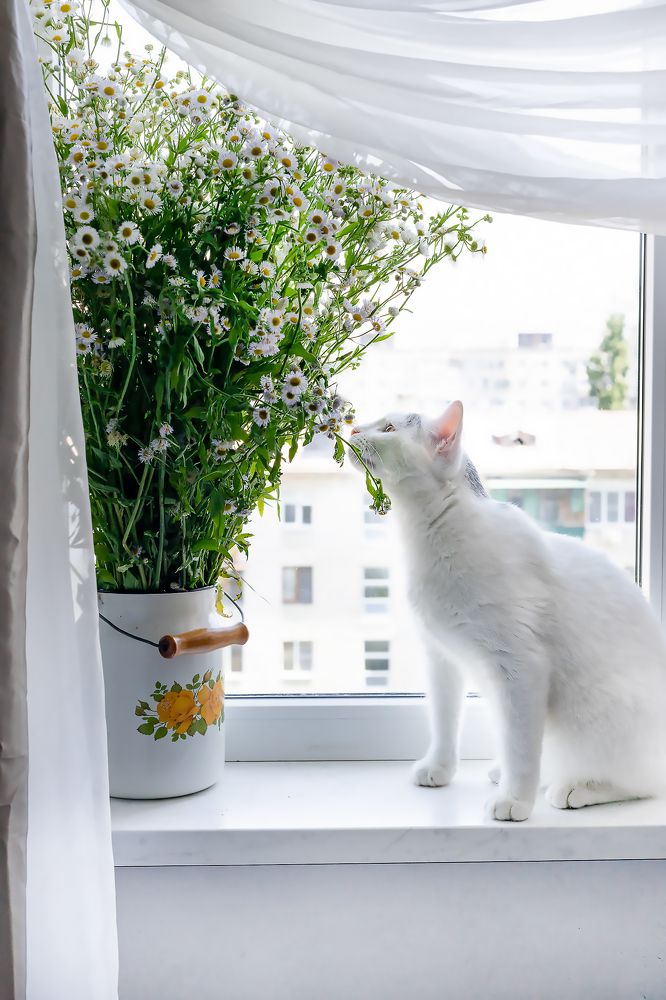 Photograph by Ольга Богданова