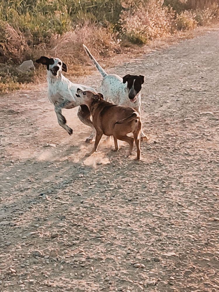 Photograph by Татьяна Долгушева