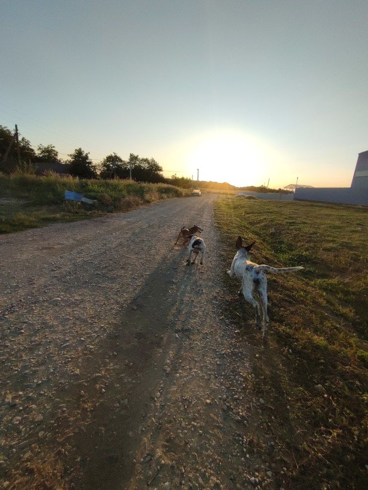 Photograph by Татьяна Долгушева