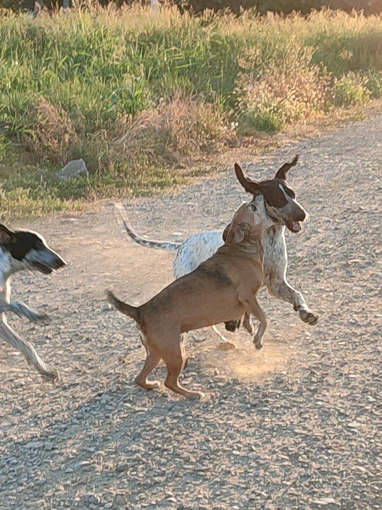 Photograph by Татьяна Долгушева