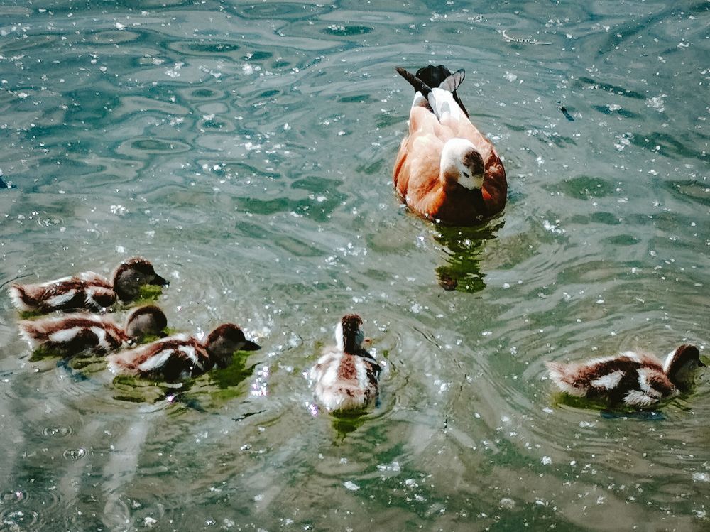 Photograph by Ольга Яценко