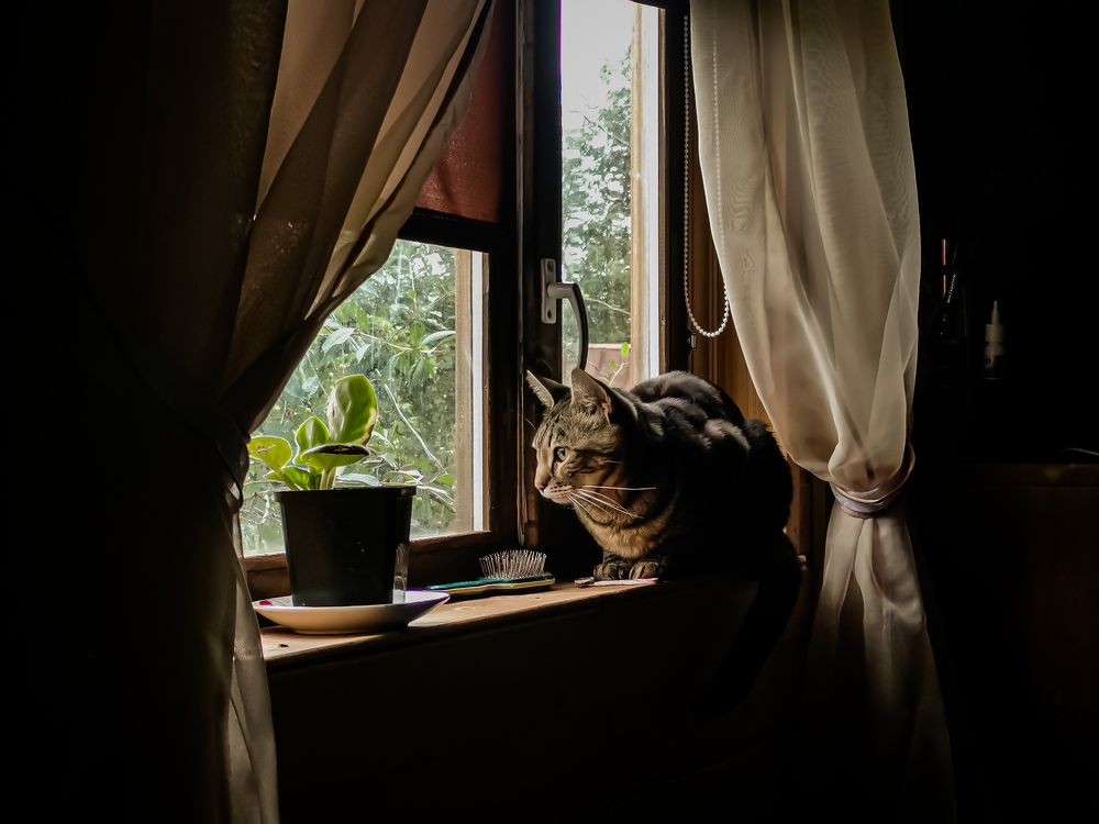 Photograph by Ольга Яценко