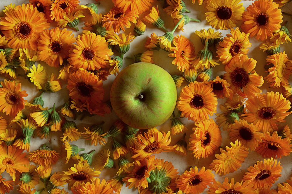 Photograph by Анастасия