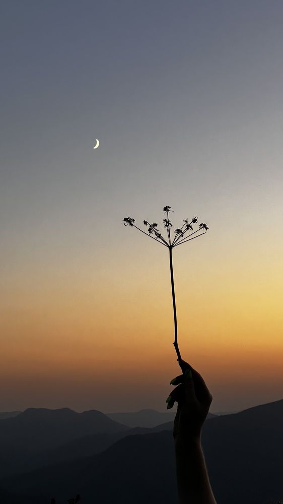 Photograph by Olga Zlaya