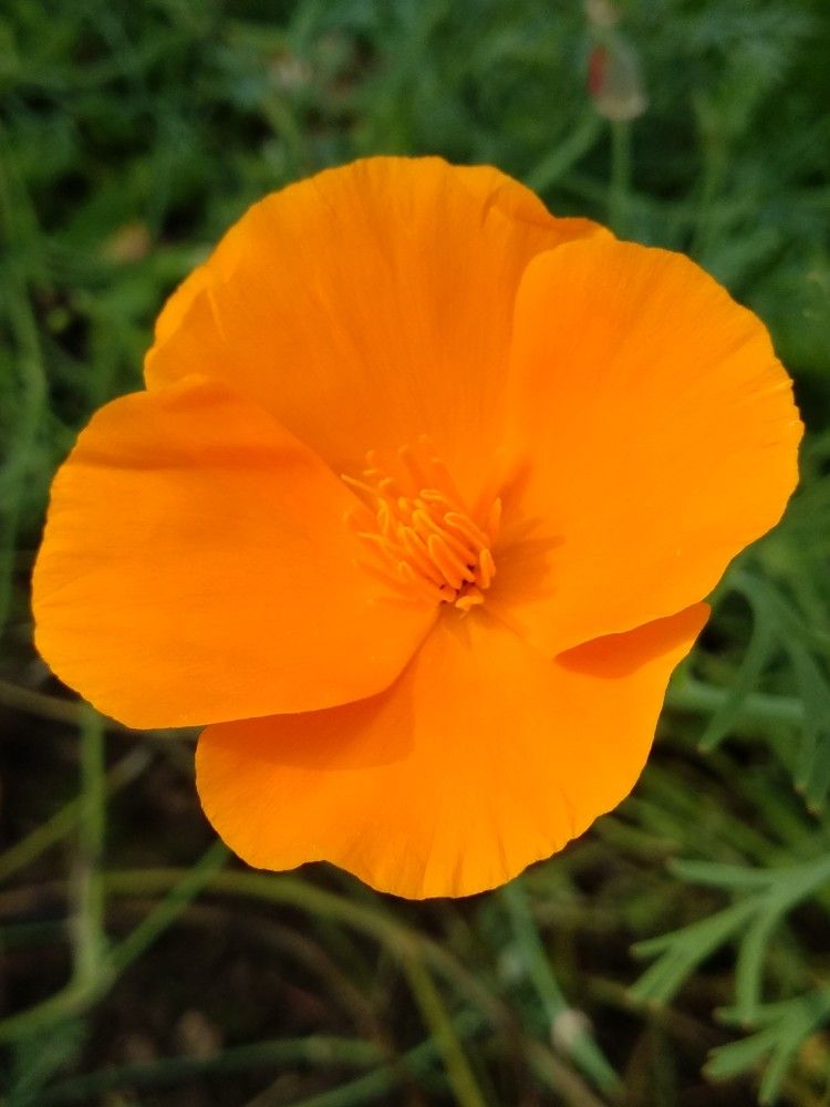 Photograph by Марина Мишина