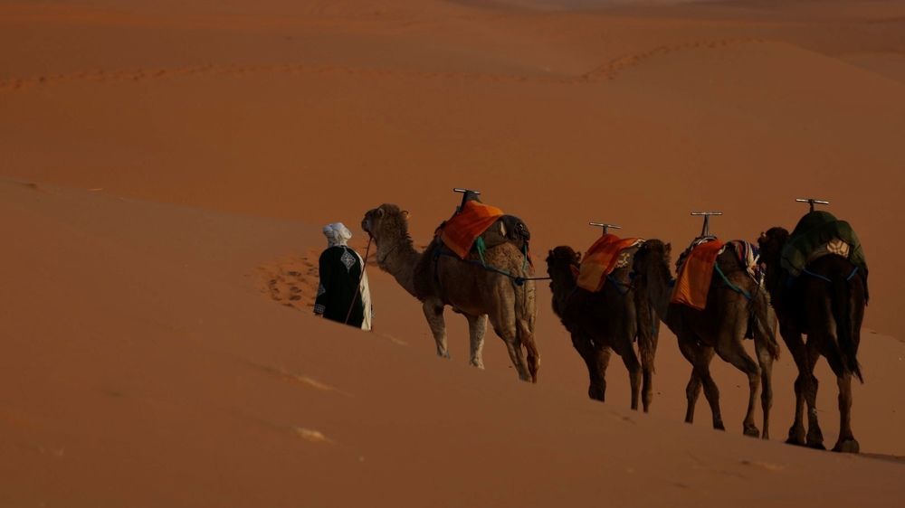 Photograph by Ольга Одаренко