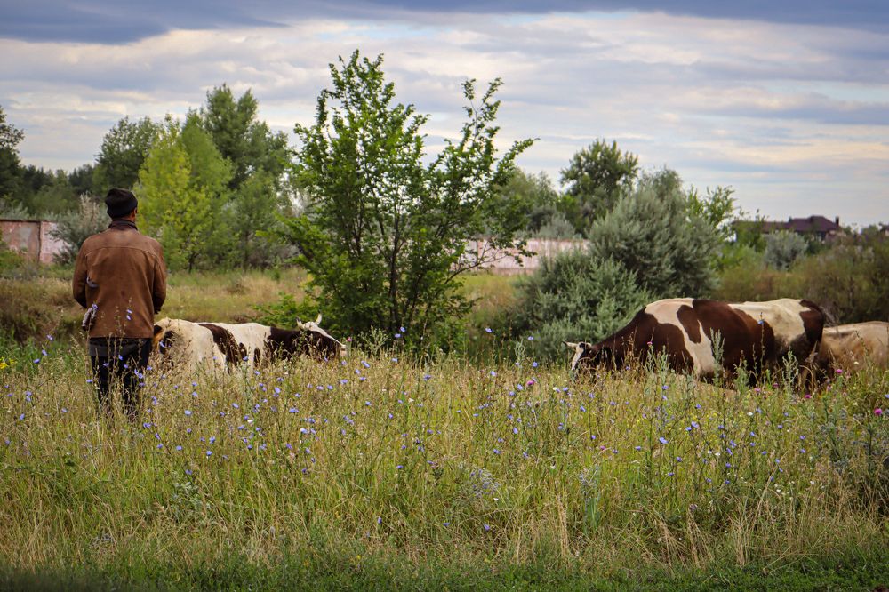 Фотография автора Юлия Гантимурова