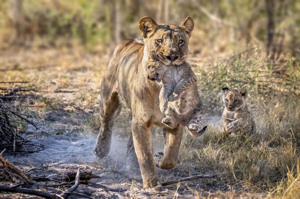 BACK TO THE HIDING PLACE