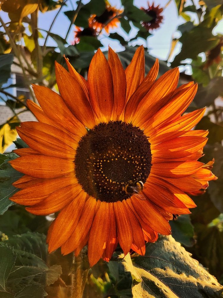 Photograph by Marina Gritchina