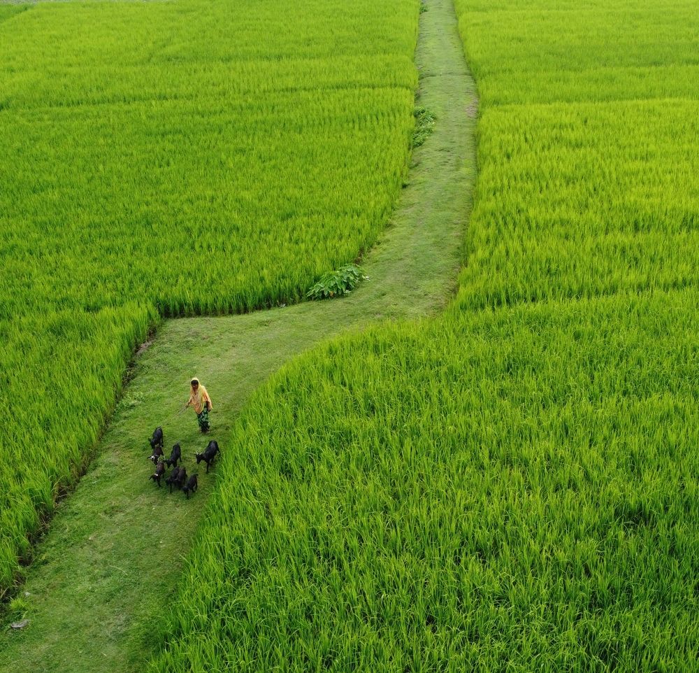 Photograph by mdratul hasan