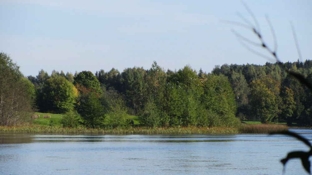 Photo #9455770