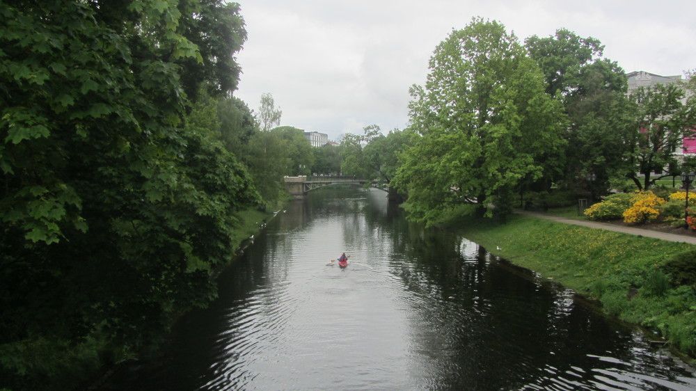 Photo #9455810