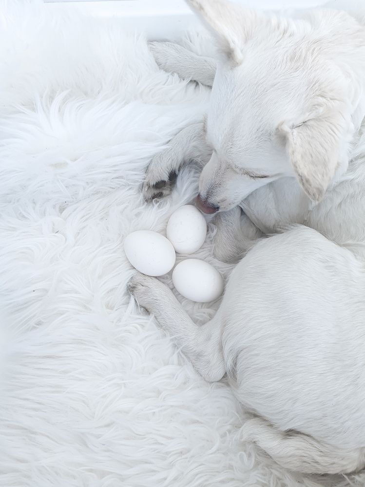 Фотография автора Ольга Шишук