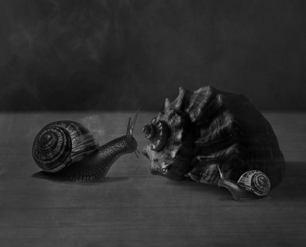 Photograph by Ирина Бабенкова