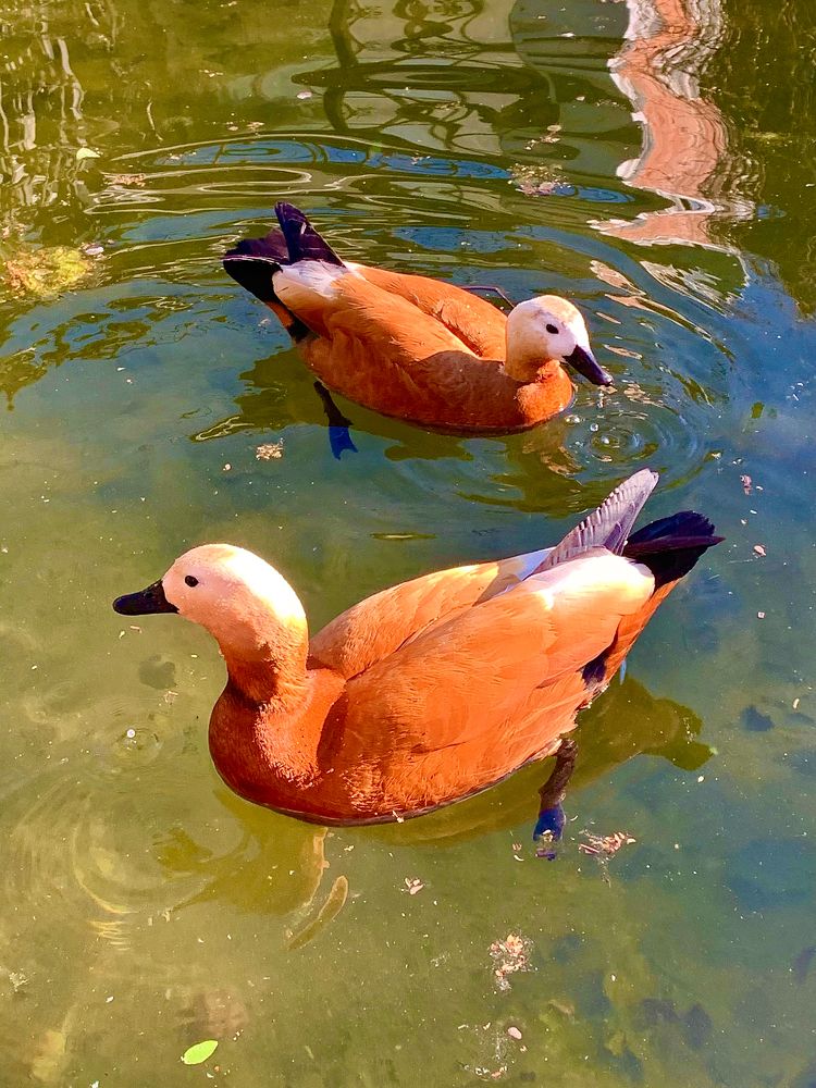 Photograph by Елена Макуха