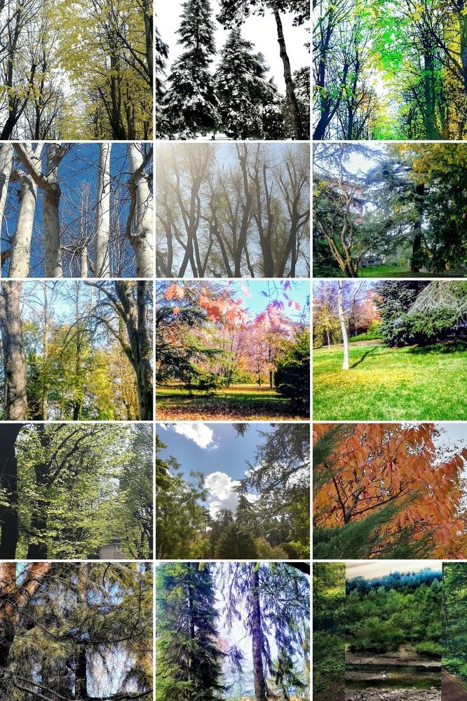 Photograph by Anila Ismailaj