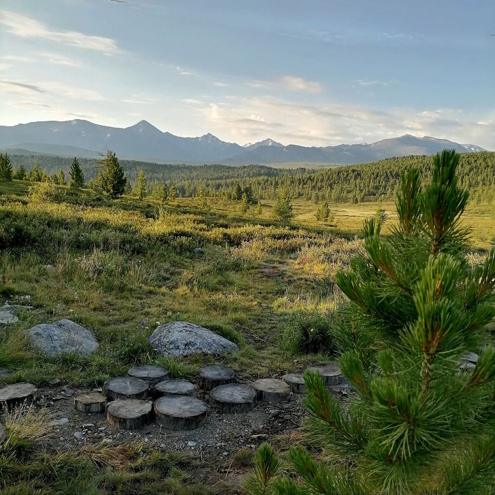 Photo #9455994