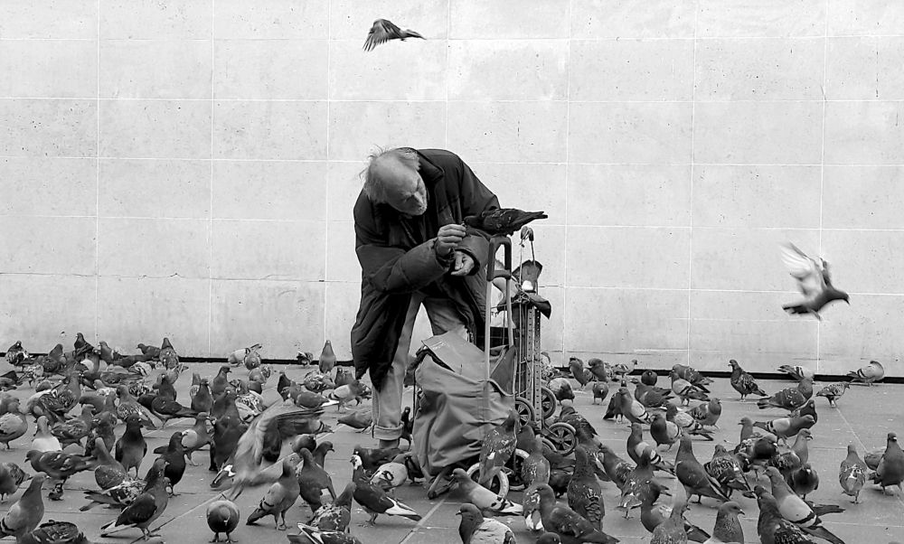 Photograph by Kaouche Mohamed