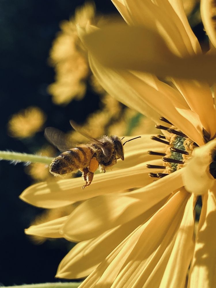 Photograph by Наталья Посашко